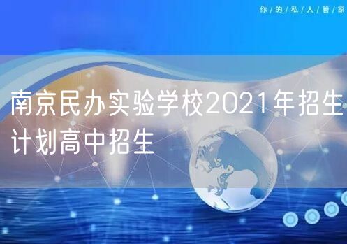 南京民办实验学校2021年招生计划高中招生