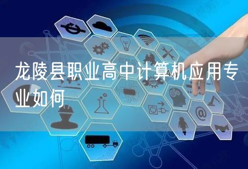 龙陵县职业高中计算机应用专业如何